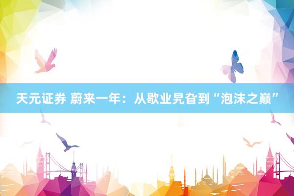 天元证券 蔚来一年：从歇业旯旮到“泡沫之巅”