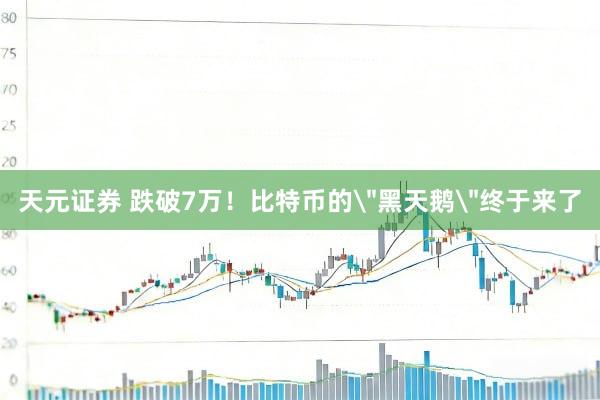 天元证券 跌破7万！比特币的＂黑天鹅＂终于来了