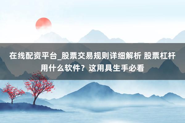 在线配资平台_股票交易规则详细解析 股票杠杆用什么软件?这用具生手必看