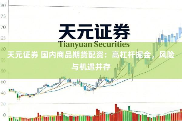 天元证券 国内商品期货配资：高杠杆掘金，风险与机遇并存
