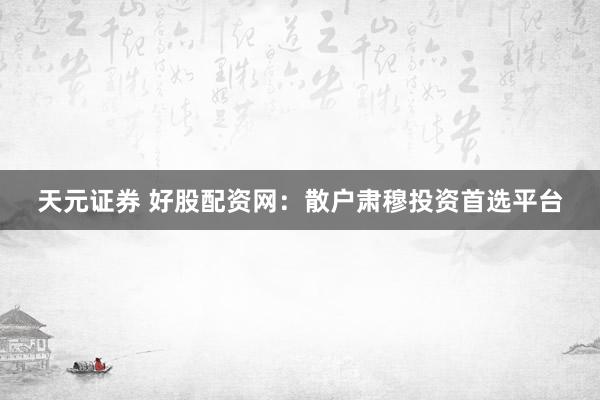 天元证券 好股配资网：散户肃穆投资首选平台