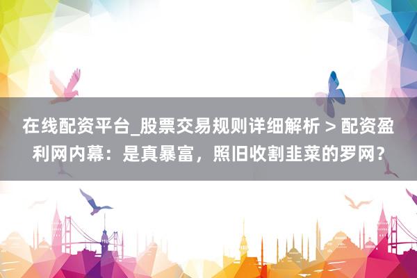 在线配资平台_股票交易规则详细解析 > 配资盈利网内幕：是真暴富，照旧收割韭菜的罗网？