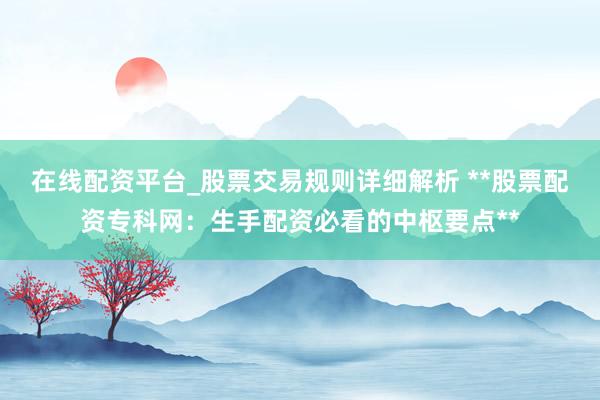 在线配资平台_股票交易规则详细解析 **股票配资专科网：生手配资必看的中枢要点**
