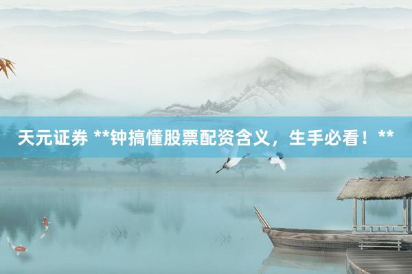 天元证券 **钟搞懂股票配资含义，生手必看！**